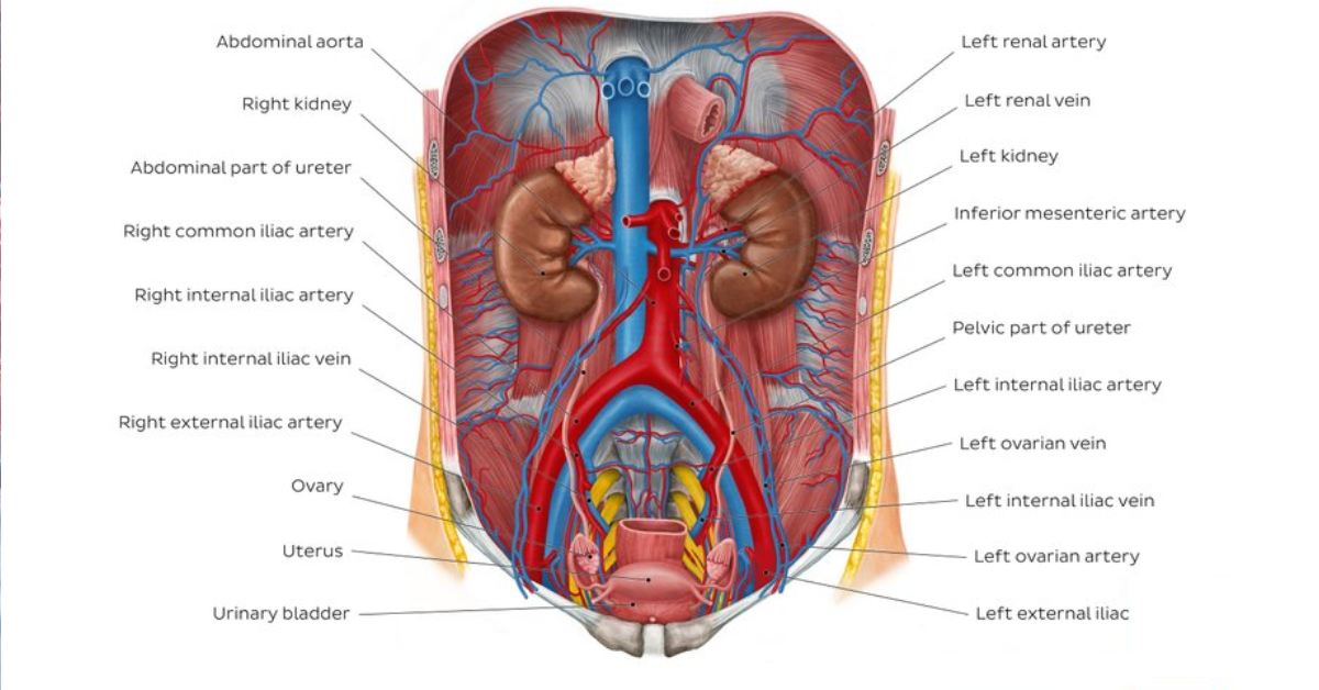 Ureteral Cancer